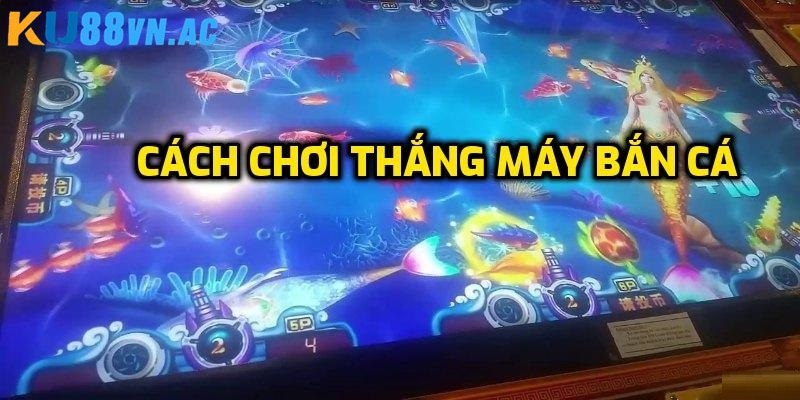 Cách Chơi Thắng Máy Bắn Cá - Chiến Thuật Để Chiến Thắng 2 Có nên tham gia game săn cá?