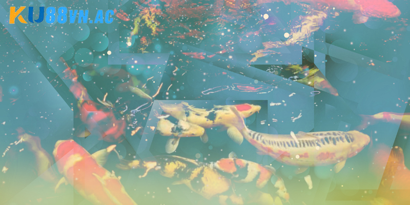 Nằm Mơ Thấy Nhiều Cá – Lời Nhắc Nhở Hay Vận May Bất Ngờ 4 Nằm mơ thấy nhiều cá theo màu sắc nên đánh con gì?