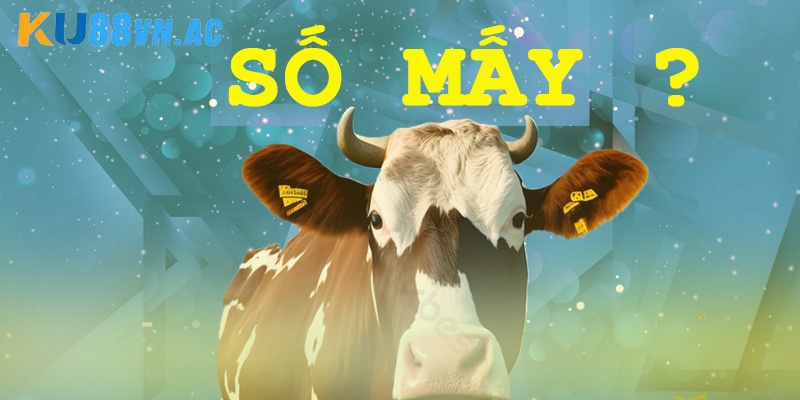 Con Bò Số Mấy? Gợi Ý Con Số Đẹp Từ Kinh Nghiệm Lâu Năm 5 Con bò số mấy khi mơ thấy bò sinh con bò sữa chuẩn?