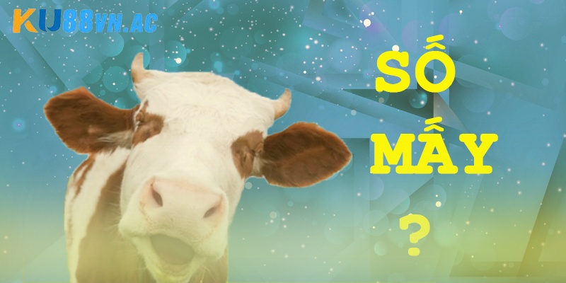 Con Bò Số Mấy? Gợi Ý Con Số Đẹp Từ Kinh Nghiệm Lâu Năm 6 Con bò số mấy ứng với giấc mơ thấy bò có màu sắc?