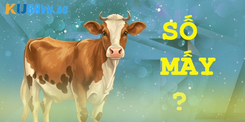 Con Bò Số Mấy? Gợi Ý Con Số Đẹp Từ Kinh Nghiệm Lâu Năm 2 Con bò số mấy khi mơ thấy? Chọn số dễ trúng nhất