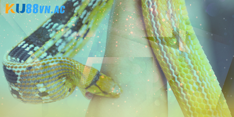 Nằm Mơ Thấy Rắn Cắn Vào Chân Trái - Chốt Số Hiệu Quả 2025 5 Cách tiếp cận về nằm mơ thấy rắn cắn vào chân trái Ku88