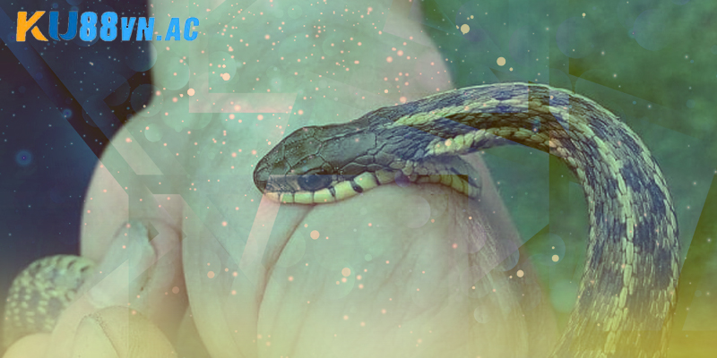 Giải thích việc nằm mơ thấy rắn hổ mang cắn vào tay đánh con gì