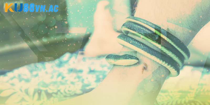 Nằm Mơ Thấy Rắn Cắn Vào Chân Trái - Chốt Số Hiệu Quả 2025 6 Nằm mơ thấy rắn cắn vào chân trái thể hiện về vấn đề sức khỏe