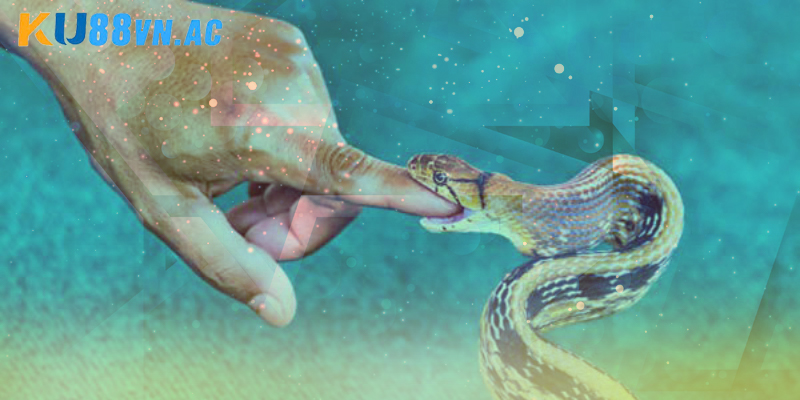 Nằm Mơ Thấy Rắn Hổ Mang Cắn Vào Tay Đánh Con Gì Ku88 7 Sơ lược về việc nằm mơ thấy rắn hổ mang cắn vào tay đánh con gì