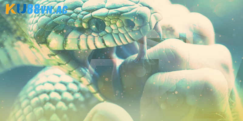 Tiếp cận việc nằm mơ thấy rắn hổ mang cắn vào tay đánh con gì Ku88