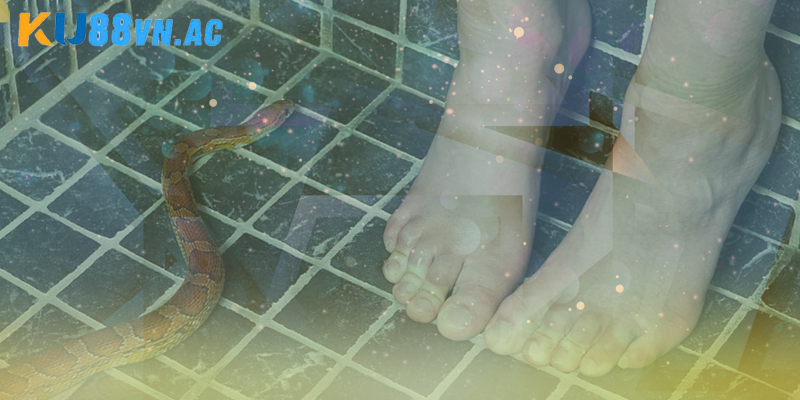 Nằm Mơ Thấy Rắn Cắn Vào Chân Trái - Chốt Số Hiệu Quả 2025 2 Sơ lược về việc nằm mơ thấy rắn cắn vào chân trái tại Ku88