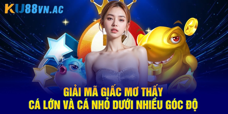 Giải mã giấc mơ thấy cá lớn và cá nhỏ dưới nhiều góc độ