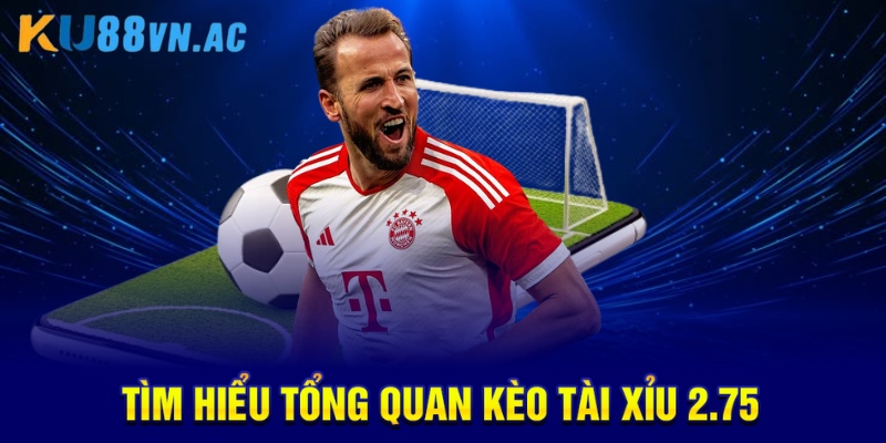 Tìm hiểu tổng quan kèo tài xỉu 2.75