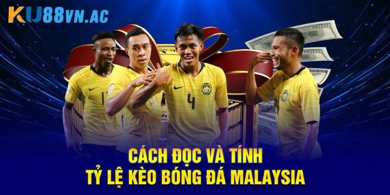 Cách đọc và tính tỷ lệ kèo bóng đá malaysia