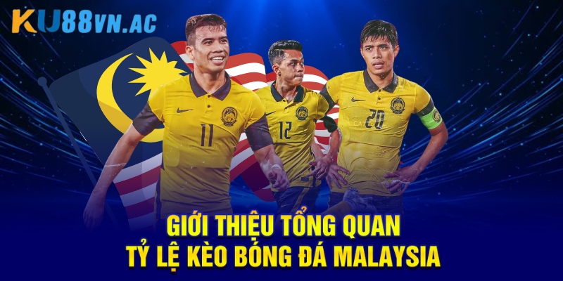 Giới thiệu tổng quan tỷ lệ kèo bóng đá malaysia