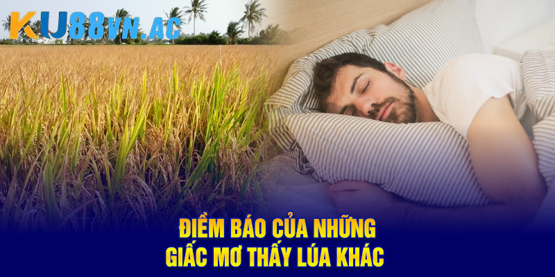 Ngủ Mơ Thấy Lúa Báo Điềm Gì? Nên Đánh Con Số May Mắn Nào? 4 Điềm báo của những giấc mơ thấy lúa khác