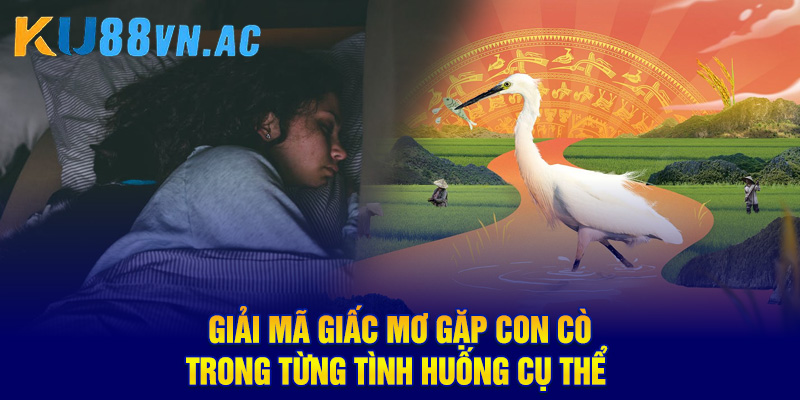 Mơ Thấy Con Cò Là Điềm Báo Gì? Luận Giải Con Số May Mắn 3 Giải mã giấc mơ gặp con cò trong từng tình huống cụ thể