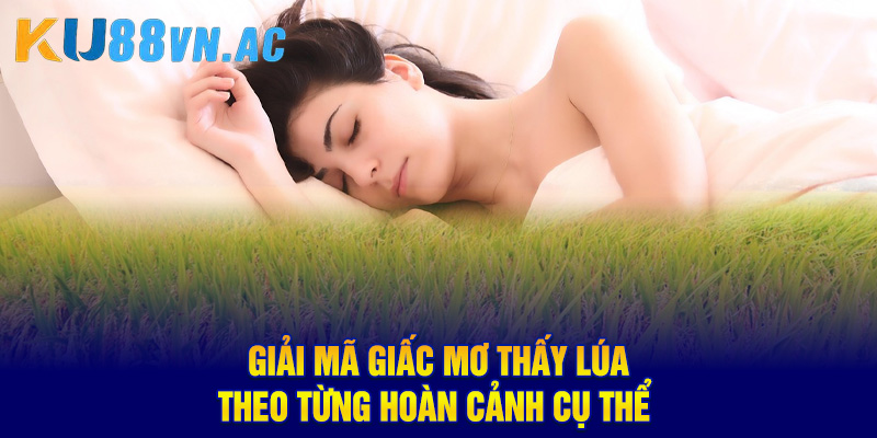Ngủ Mơ Thấy Lúa Báo Điềm Gì? Nên Đánh Con Số May Mắn Nào? 3 Giải mã giấc mơ thấy lúa theo từng hoàn cảnh cụ thể