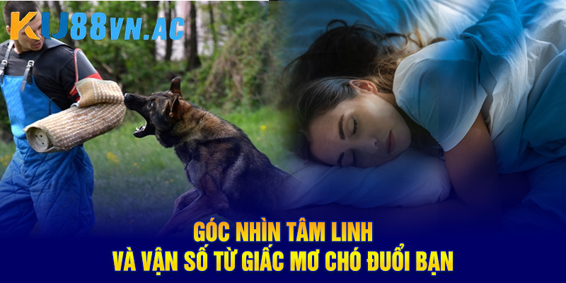 Góc nhìn tâm linh và vận số từ giấc mơ chó đuổi bạn