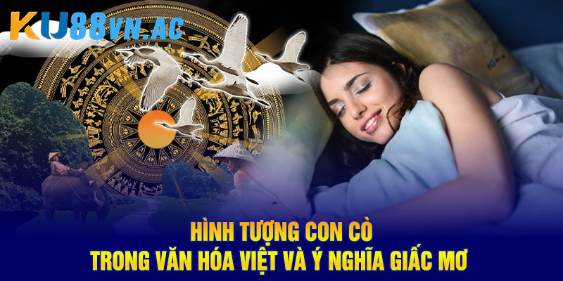 Mơ Thấy Con Cò Là Điềm Báo Gì? Luận Giải Con Số May Mắn 2 Hình tượng con cò trong văn hóa Việt và ý nghĩa giấc mơ