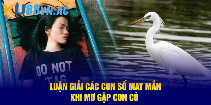 Mơ Thấy Con Cò Là Điềm Báo Gì? Luận Giải Con Số May Mắn 5 Luận giải các con số may mắn khi mơ gặp con cò