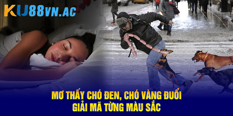 Mơ thấy chó đen, chó vàng đuổi giải mã từng màu sắc