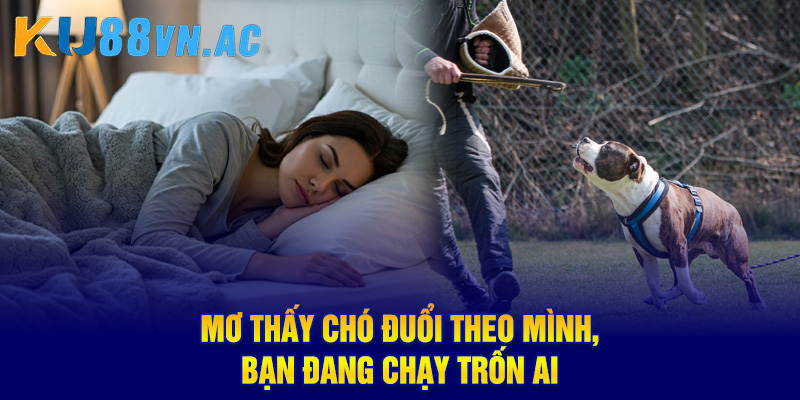 Mơ thấy chó đuổi theo mình, bạn đang chạy trốn ai