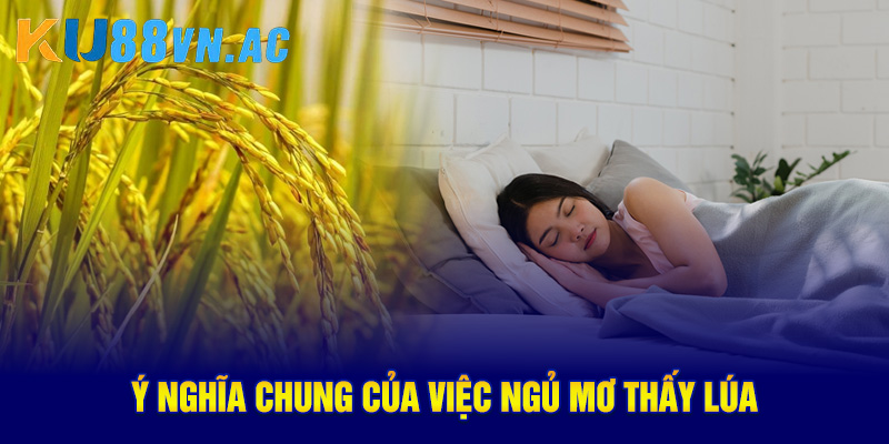 Ngủ Mơ Thấy Lúa Báo Điềm Gì? Nên Đánh Con Số May Mắn Nào? 2 Ý nghĩa chung của việc ngủ mơ thấy lúa