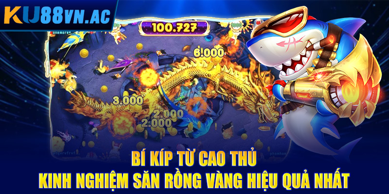 Bí kíp từ cao thủ - Kinh nghiệm săn rồng vàng hiệu quả nhất