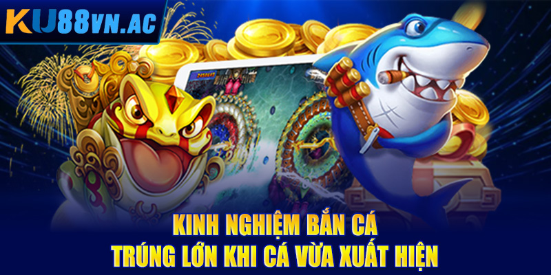 Kinh Nghiệm Bắn Cá Trúng Lớn - Rinh Trọn Hũ Vàng